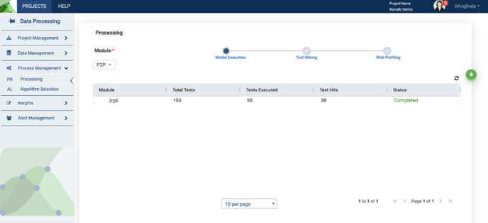 Processing - Model Execution , Picture